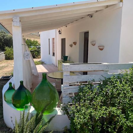 Casa Filippa Villa Sassari Dış mekan fotoğraf